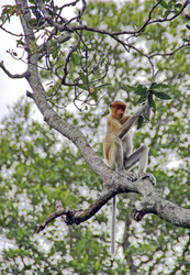 Similar image 21389927