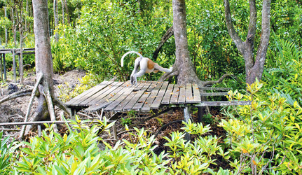 Similar image 21391701