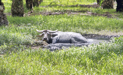 Similar image 21392009