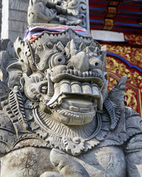 Similar image 21392216