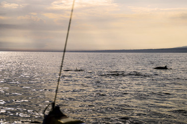 Similar image 21392217