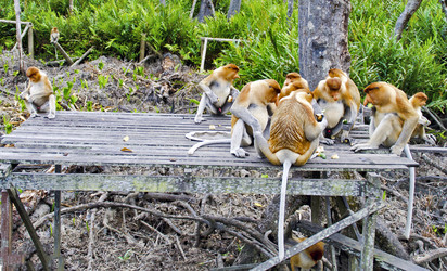 Similar image 21392219