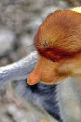 Similar image 21392495