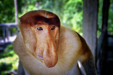 Similar image 21392497