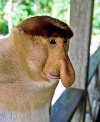 Similar image 21392842