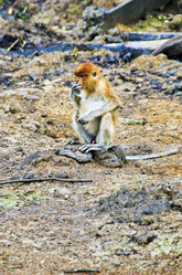 Similar image 21393186