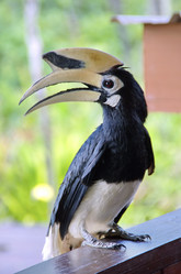 Similar image 21394320