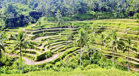 Similar image 21394327