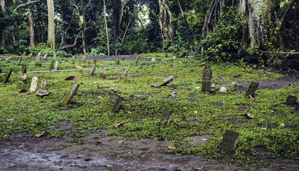 Similar image 21389931