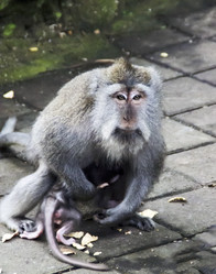 Similar image 21389935