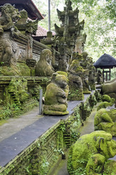 Similar image 21389937