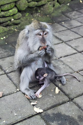 Similar image 21389939