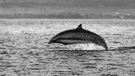 Similar image 21389942