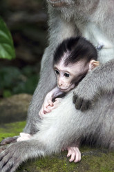 Similar image 21390859