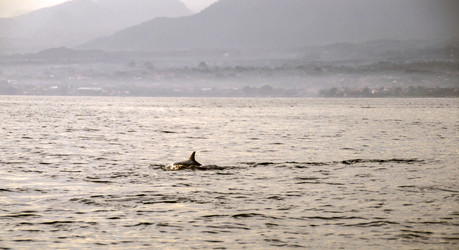 Similar image 21390860