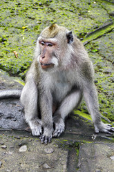 Similar image 21390861