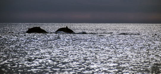 Similar image 21390930