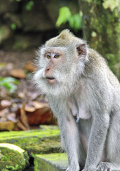 Similar image 21391030