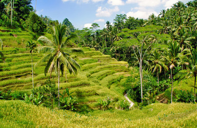 Similar image 21391449