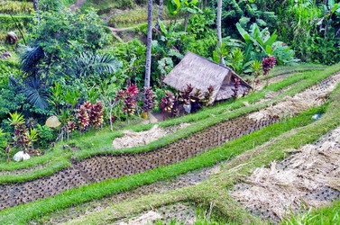 Similar image 21391702