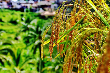 Similar image 21391705