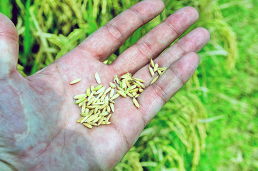 Similar image 21391707