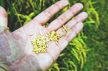 Similar image 21391709