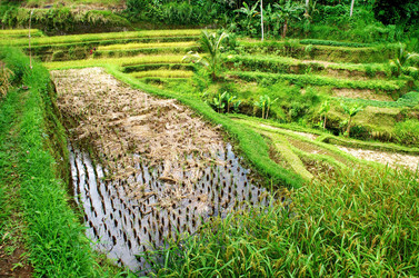 Similar image 21391711