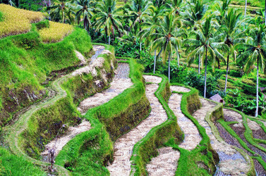 Similar image 21392223