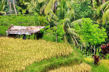 Similar image 21392225