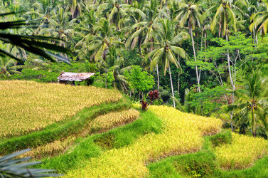 Similar image 21392227