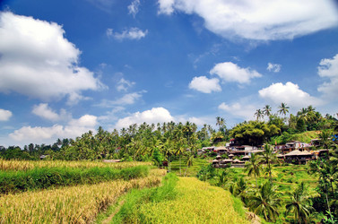 Similar image 21392506