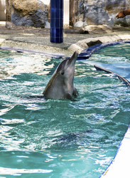 Similar image 21392507