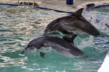 Similar image 21392508