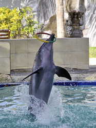 Similar image 21392848