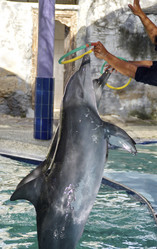 Similar image 21392850