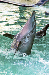 Similar image 21392852