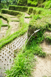 Similar image 21392853