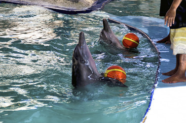 Similar image 21392855