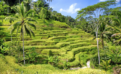 Similar image 21392858