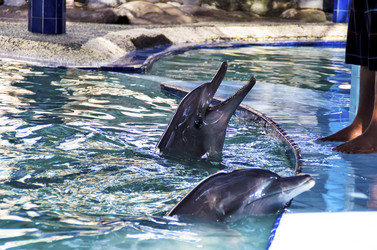 Similar image 21392859