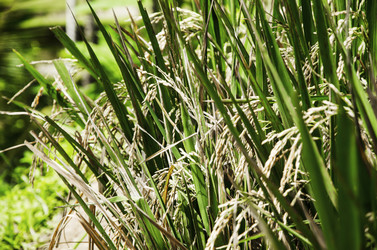 Similar image 21393195