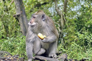 Similar image 21393451