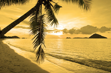 Similar image 21393454