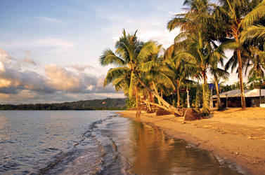 Similar image 21393459