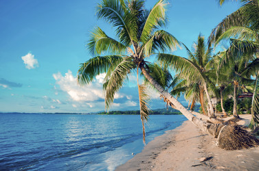 Similar image 21393708