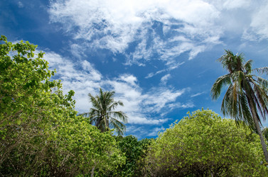 Similar image 21393709