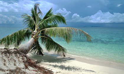 Similar image 21393711