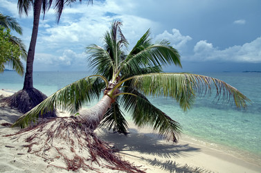 Similar image 21393712