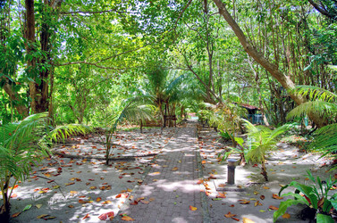 Similar image 21393713